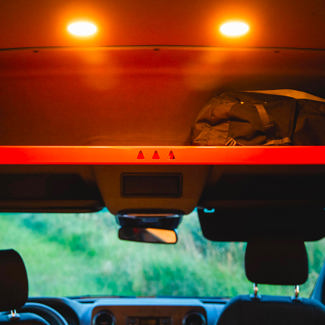 Trapper - Norva Trapper - Norva