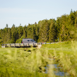 GRIZZLI - Norva GRIZZLI - Norva