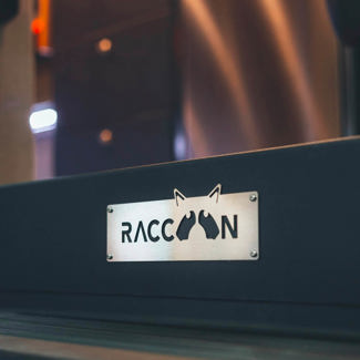 Raccoon - Norva Raccoon - Norva