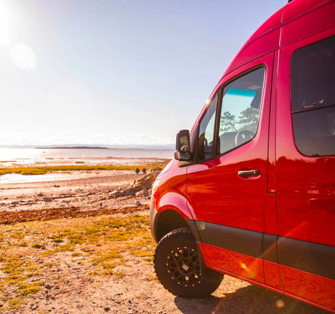 Image Trapper - Norva Image Trapper - Norva