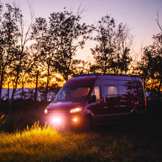 Trapper - Norva Trapper - Norva