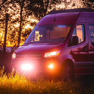 Trapper - Norva Trapper - Norva